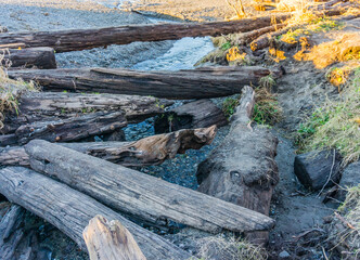 Driftwood Logs Over Stream 3