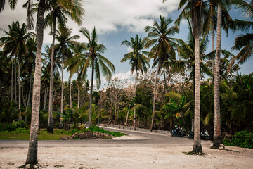 Tropical beach with palm trees in Crystal Bay Area, Nusa Penida, Bali, Indonesia. Scooters are parked in the shadow.