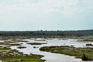 Ponds in the savanna in Kruger National Park, South Africa.