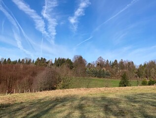 Zauberhafte Naturlandschaft im Winter ohne Schnee