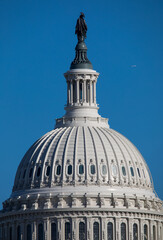 The US Capitol building in Washington, DC