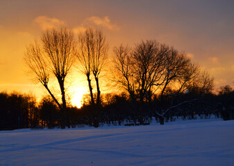 Fototapeta na wymiar Beautiful winter sunset with trees in the snow