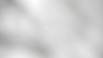 Shadow overlay effect. Blur shadows of plants and tree leaves on a white clean wall.