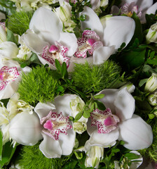 Bouquet of cymbidium for background.  Square natural pattern. Close-up of flower wall