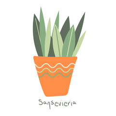 Sansevieria. House plant in a clay pot. Home gardening. Hand drawn vector illustration in simple hygge style. Perfect for poster, sticker, print, card