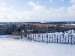 Top down view where you can see a white snowy crop field where you can see a row of trees without leaves