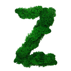 Letter Z of the English alphabet made from green stabilized moss, isolated on white background
