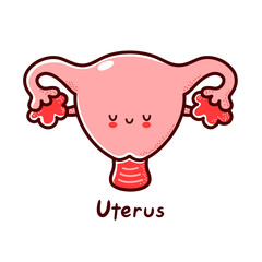 Cute happy funny human uterus organ character. Vector flat line cartoon kawaii character illustration icon. Isolated on white background. Uterus with face character mascot concept