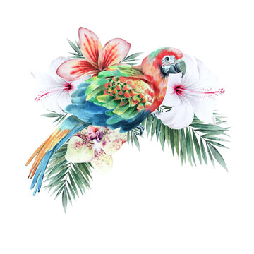 Illustration with tropical  parrot and flowers. Hibiscus. Palm. Orchid. Watercolor illustration. Hand drawn.