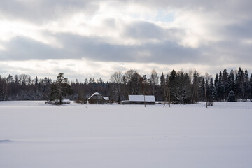 Fototapeta na wymiar In the middle of a snowy field on a winter day, you can see an old country house near the forest