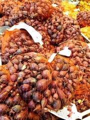 onion for sowing in the seed store, onion seeds for sowing in plastic nets