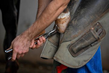 A farrier adjusting a horseshoe 