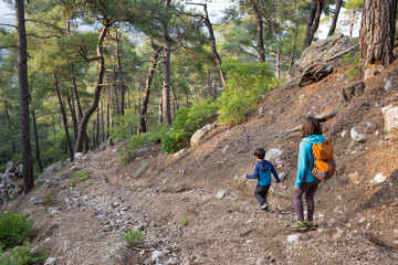 Obraz premium A woman walks with her son through the forest.
