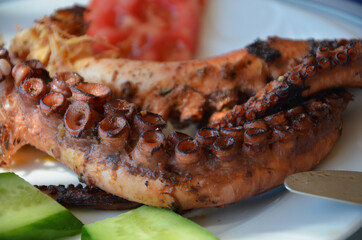 Baked octopus on the plate. Served with tomato and cucumber.