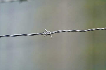 Close up of barbed wire