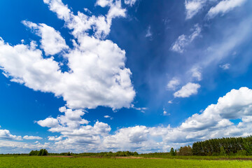 Summer landscape with white clouds and green grass.