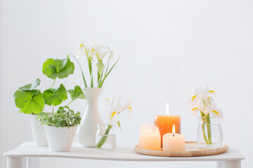 burning candles and spring flowers on wooden shelf in white interior