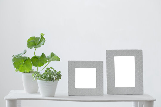 white frame and green plants  on shelf on white background