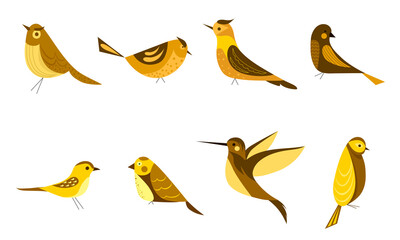 Set with cute birds. Little birds. Vector illustration.