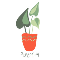 Syngonium. House plant in a clay pot. Home gardening. Hand drawn vector illustration in simple hygge style. Perfect for poster, sticker, print, card