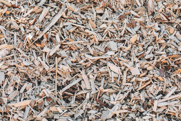 Large pile of wood chips, top view. Waste from the woodworking industry, fuel and raw materials for heating solid fuel industrial boilers on wood chips. Background image