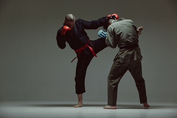 Sportive males fighting, wearing kimono and boxing gloves on gray studio backdrop with copy space, mixed fight concept