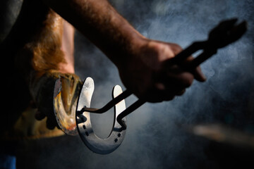 Farrier hot shoeing a horse - adjusting a hot horseshoe to the hoof
