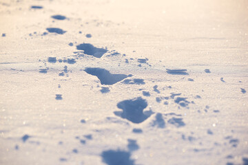 Human traces on a snow. Winter background.