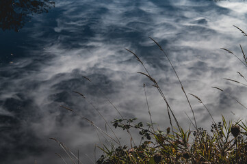 Cloudy sky reflects in lake. Grass growth on shoreline. 