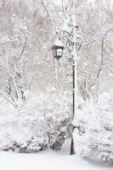 winter city park, lantern covered in the snow and snowfall