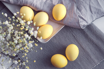 Colored yellow eggs on easter, decorated gypsophila flowers on gray cloth background