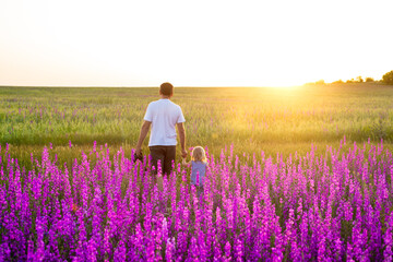 Dad and daughter walking towards the sun across a lavender purple field. Parent-child relationships, joint walks, an active lifestyle.