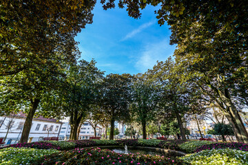 Obraz premium Trees in Jardim de Sao Lazaro - small park in Porto city, Portugal