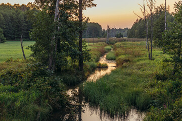 Sunset over small Lutownia river in Bialowieza National Park, Podlasie region of Poland
