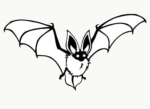 Flying bat. Stylized contour drawing on a white background