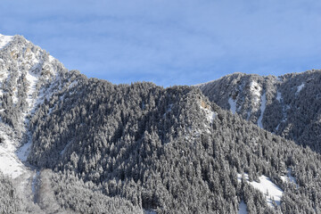 snow covered mountains