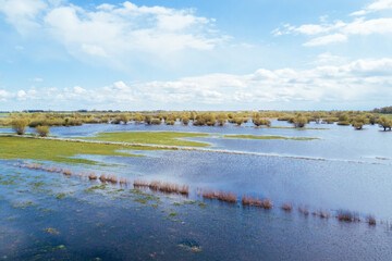 Flooded river meadows