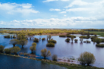 Flooded river meadows