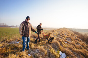 Couple walking dogs in sunset
