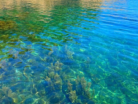 Turquoise emerald sea glittering shiny water surface, summer tropical ocean dream.