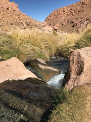 river in the desert