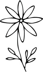 Fototapeta na wymiar Daisy flower in the Doodle style. Black and white image isolated on a white background. Contour drawing. Vector illustration
