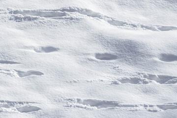 Entangled footprints in the snow. White drifts. Winter landscape. Snow background. Cold weather. Footsteps in the snow. Frosty air. Foot prints. Snow texture. Pathfinder work. Find in the footsteps.