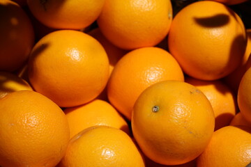 Many sun-ripened oranges