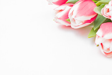 Composition with pink tulips on white background