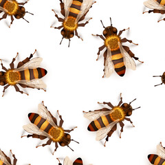Lot of detailed realistic honey bees, insects on white seamless pattern