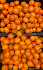 Boxes of tangerines on the market