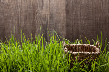 Empty wicker basket on grass with the natural wood background.