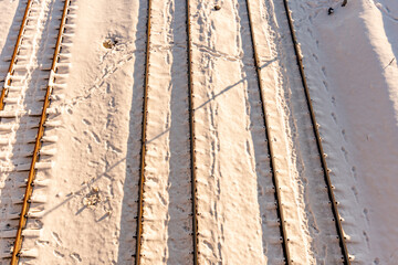 Train tracks, rails in the snow at sunset