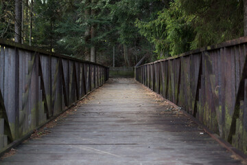Obraz premium Wooden bridge in the forest